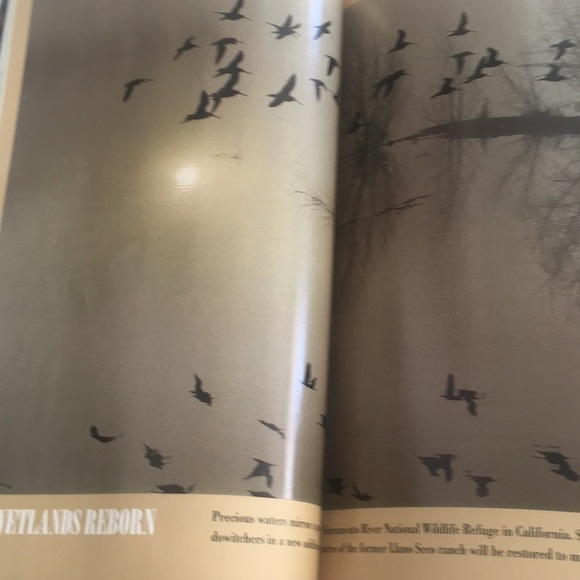 National Geographic Vol. 182 No. 4 October 1992 - Picture 6 of 14